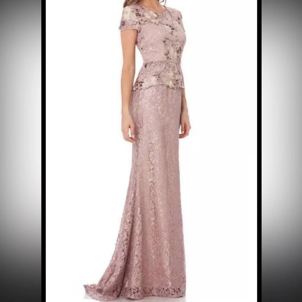 JS Collections Blush Color Lace Gown - Picture 1 of 16